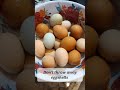 Eggshell Gardening Hack. How to use eggshells in the garden.