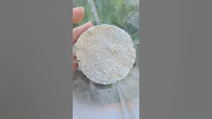 Eggshell Gardening Hack. How to use eggshells in the garden.