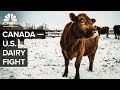 How Canada Helps Its Dairy Farmers (And Why Trump Hates It)