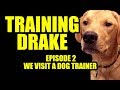 Training Drake Episode 2_We visit a dog trainer