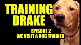 Training Drake Episode 2_We visit a dog trainer