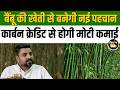 क्या है Carbon Credits? Bamboo की खेती से कैसे होगी लाखों की कमाई #AgriBusiness #kisan