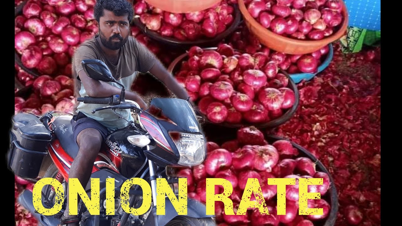 Today Onion market rate Onion rate today Onion rate in Bangalore YouTube