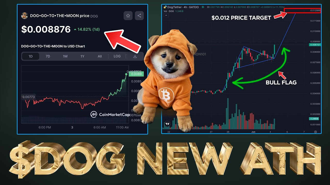 DOG hits $900M Market Cap 📈 (Price Target $0.012🎯) - YouTube