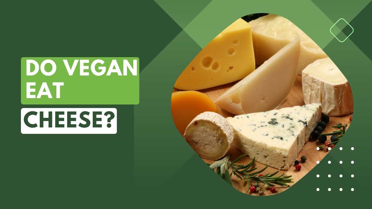 Do Vegans Eat Cheese? Exploring Vegan Cheese Alternatives YouTube