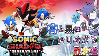 【ソニック × シャドウ ジェネレーションズ】かっこよすぎるハリネズミ達ジェネレーションズ　～青と黒のハリネズミ散歩道～【ケモノV/紫鼬ハクナ】