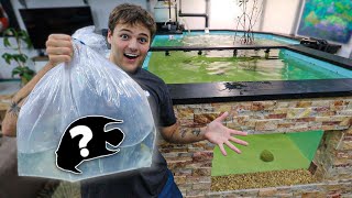 Buying FIRST FISH for My SALTWATER POND!!