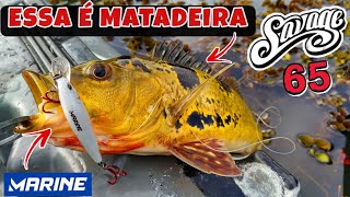 TESTE DA ISCA SAVAGE 65 - ESSA ISCA É MATADEIRA DEMAIS