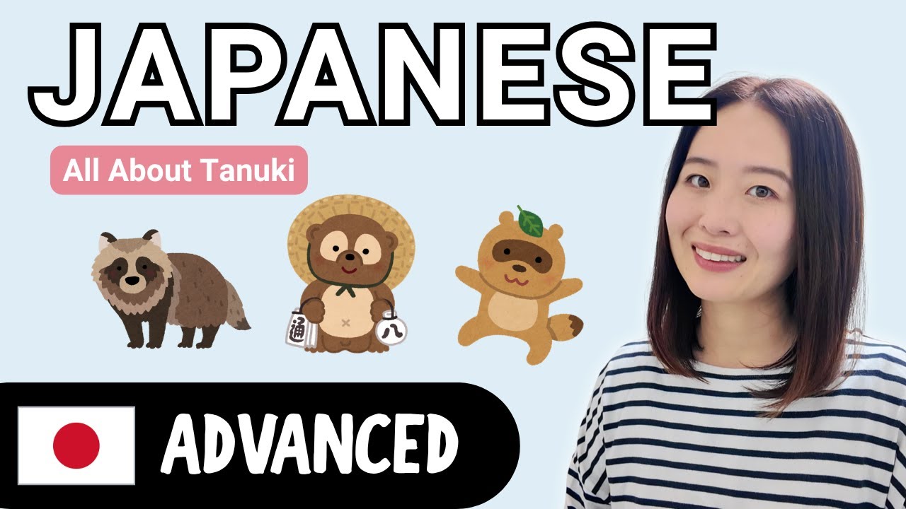 All About Tanuki | Advanced Japanese Comprehensible Input - YouTube