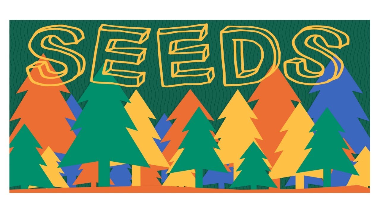 SOUTH BAY KIDS COVE / ELEMENTARY / SEEDS / FEBRUARY 19, 2023