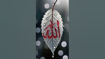 #راحة_نفسية #تلاوة_خاشعة #اللهم ارزقنا حسن الخاتمة 🤲 #اكسبلور #اسمع_بقلبك 🫀