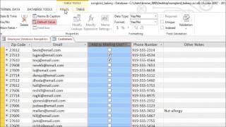 Access 2013 Modifying Tables