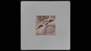 No Lie Male Version - Extendedinstagram Tiktok