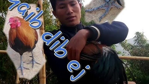 tus qaib dib uas dib tau haib tshaj plaws