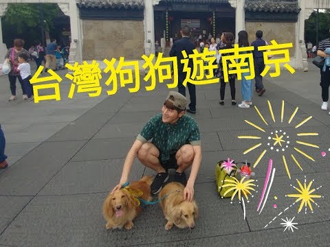 台灣狗逛大陸 中國南京新街口 中華第一街 長毛臘腸