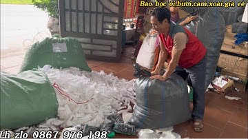Xốp bọc ổi 4mùa,bóng,chun,và túi bao cam,xoài,ổi,bưởi,túi lưới bọc mit thái.XƯỞNG CẤP TÚI BAO TRÁI.