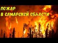 ГИГАНТСКИЙ ПОЖАР! Лесной пожар вспыхнул в Борском районе Самарской области