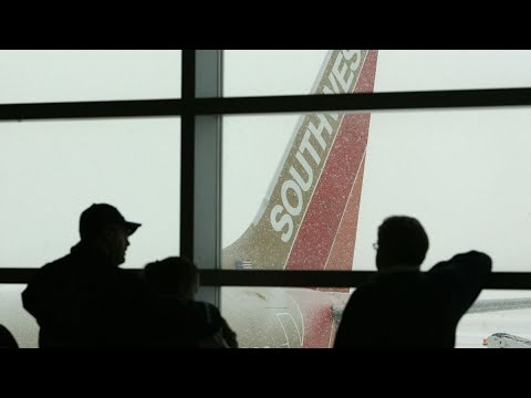 Video: Studie: United Airline ansvarlig for halvparten av dyrs skade og død på fly
