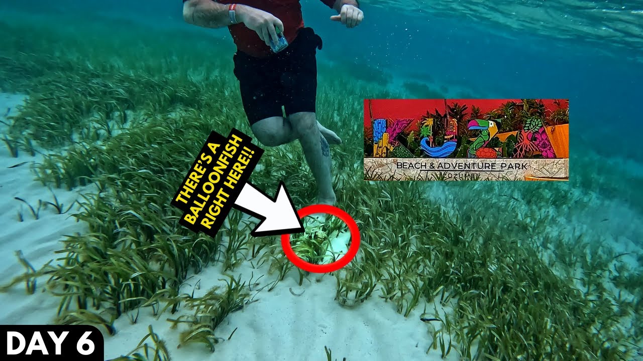 Day 6: KUZÁ Beach! | Royal Caribbean: Harmony of the Seas Cruise | April/May 2025 (5/2/25)