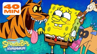 SpongeBob | Alle Kreaturen aus SpongeBob! | 40 Minuten Compilation | SpongeBob Schwammkopf