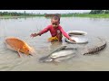 Amazing Boy Catching Fish By Hand #fishing