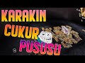 Karakin'de PUSU KURDUK ! | Uc Hediyeli Video | PUBG Mobile Edit