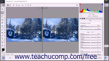 Photoshop Elements 15 Tutorial The Camera Raw Dialog Box in the Editor Adobe Training