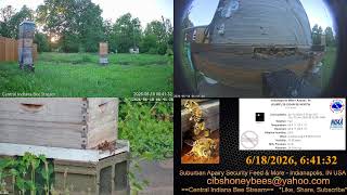 2026/6/18 Stormy Back Yard Cam - Weather - Bee Hives - Security Feed - Indianapolis, IN USA