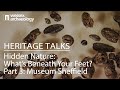 Heritage Talk: Hidden Nature, What’s beneath your feet? Part 3- Museum Sheffield