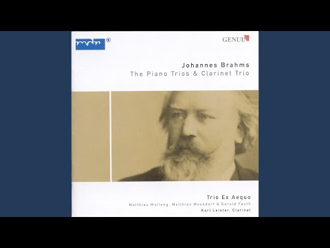 Trio in A Minor, Op. 114: III. Andantino grazioso