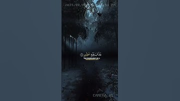 "تلاوة هادئة تُنسيك هموم الدنيا"