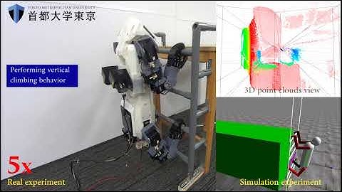 A Novel Capabilities of Quadruped Robot Moving through Vertical Ladder without Handrail Support