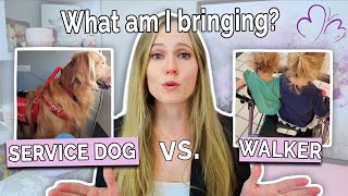 Walker vs Service Dog for POTS – What Really Works? // Which Mobility Aid is Right for You?