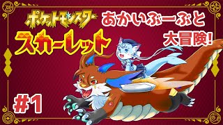 【#ポケモンsv】#1 赤いぶーぶに乗って大冒険！！ 【ぶいソロ配信】【#新人Vtuber】