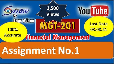 Mgt201 Assignment 1 Solution Spring 2021|Mgt201 assignment 1 spring 2021 |engr adnan|Study Point