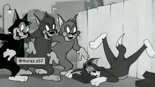 Whatsapp Bandit Status