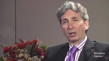 Irvin Schein on Litigation and Arbitration