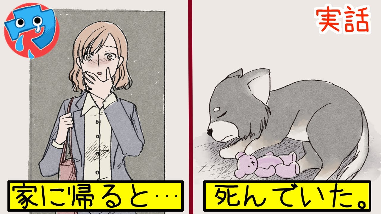 Download 感動する話漫画動物 猫 祖母が亡