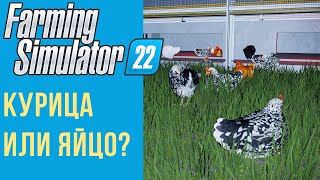 🐣 Всё о курицах в Farming Simulator 22