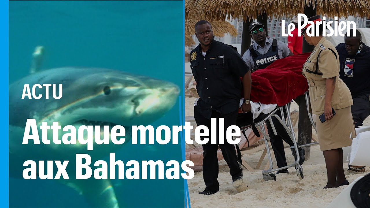 Deuxième attaque de requin, dans la Caraïbe, en moins d'un mois