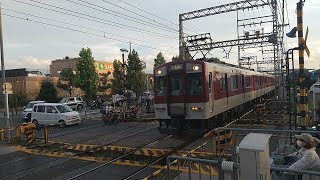 近鉄1233系VE33+8600系X53編成の急行京都行き 寺田駅