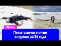 Снегопад удивил жителей прибрежного города Аргентины