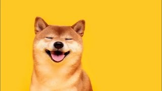Sis Roxanne Update|SECURITY|CRYPTO EXCHANGE SHUTDOWN|CLARITY ACT|BNB TIGER OG |SHIBA INU PUMP