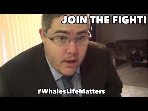 Join the fight to protect the whales! #WhalesLifeMatters