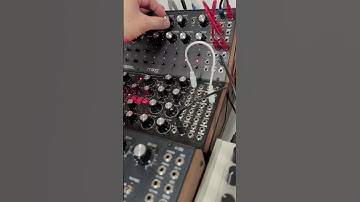 Moog DFAM, Sub Harmonicon jam, Ableton CV Shaper tool #semimodular #synthjam #electronicmusic