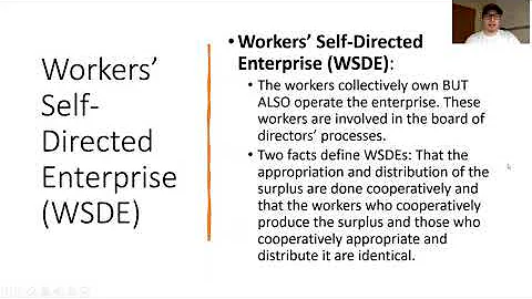 Democracy in the Workplace