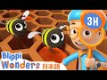 ハチミツ | ブリッピーワンダーズ | 子供向け動画 | 人気アニメ