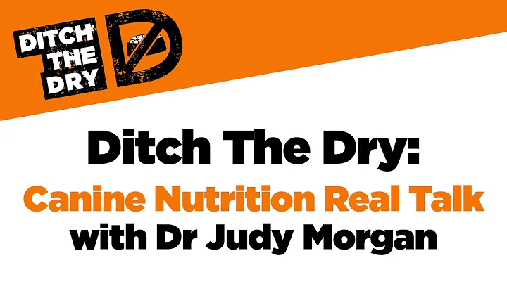 Why Ditch The Dry with Dr Judy Morgan
