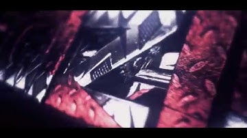 INTRO - Raizify [DUAL with Nexizn]