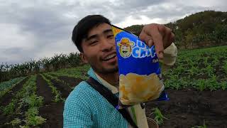 Uncle chip vs kaka Alu chips || My products 😆